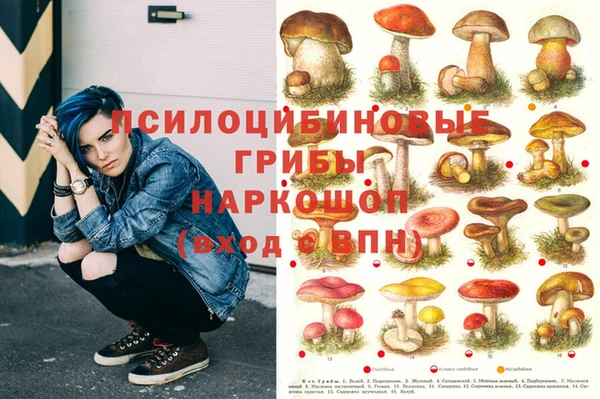 крисы Липки