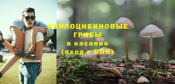 молекула духа Бердск